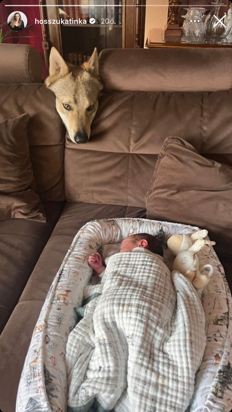 Hosszú Katinka kislányának álmát nem akárki őrzi