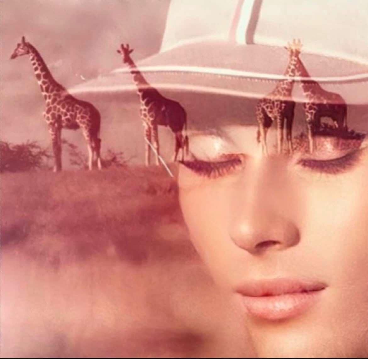 Jocelyn Wildenstein 1978-ban. Szinte rám ismerni, annyira más az arca a későbbi évekhez képest.