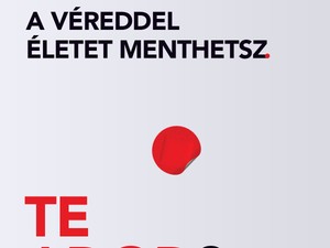 A véradással életet menthetsz! Add te is nyáron is!