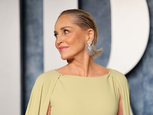 Sharon Stone bikinis fotói felperzselték az internetet