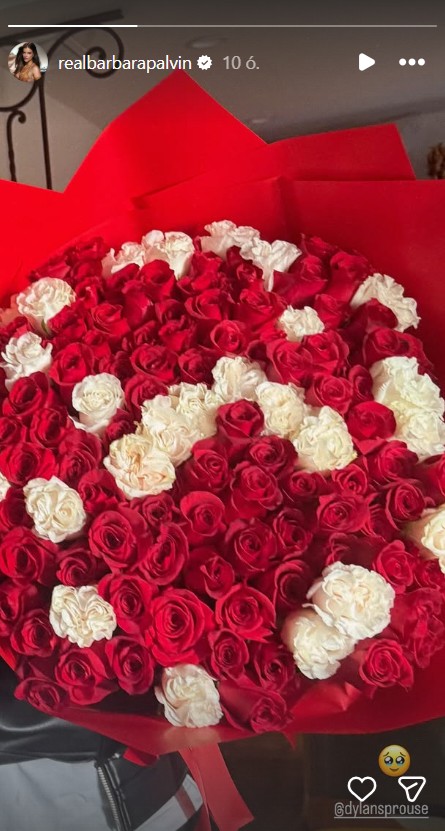 Palvin Barbara káprázatosan szép rózsacsokrot kapott a férjétől Valentin-napra