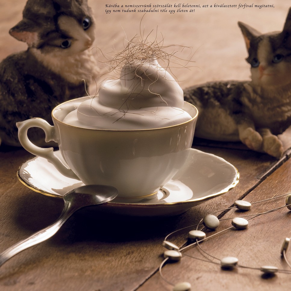 Gőbölyös Luca: Férjhez akarok menni! (Hasznos tanácsok hajadonoknak), 2009©