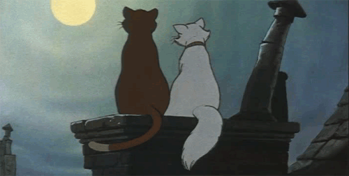 HOROSZKÓP 2016. február