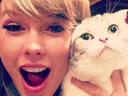 Ők a hírességek legcukibb házikedvencei