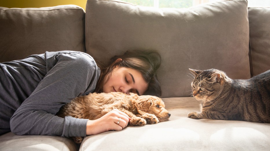 Sokat elárul a személyiségünkről, hogyan viszonyulunk a háziállatokhoz