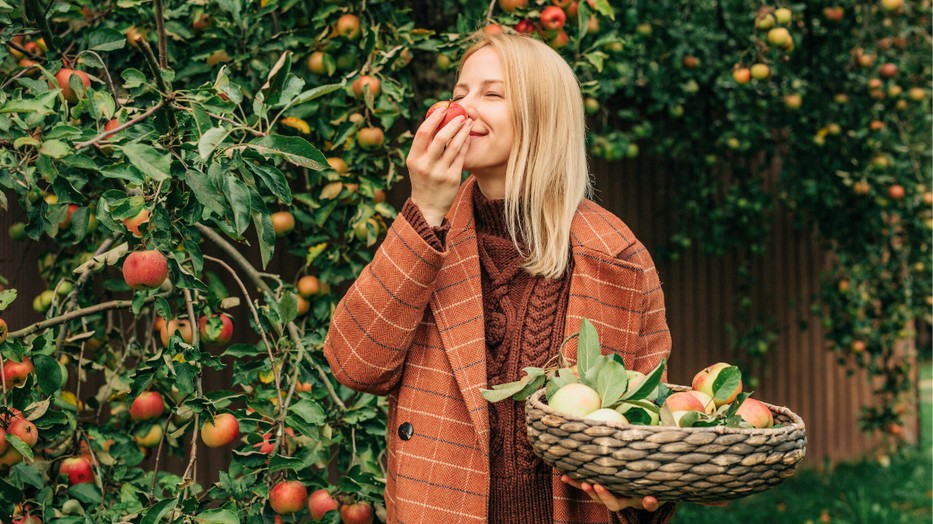 Kínai díszkörtét inkább ne ültessünk a kertünkbe