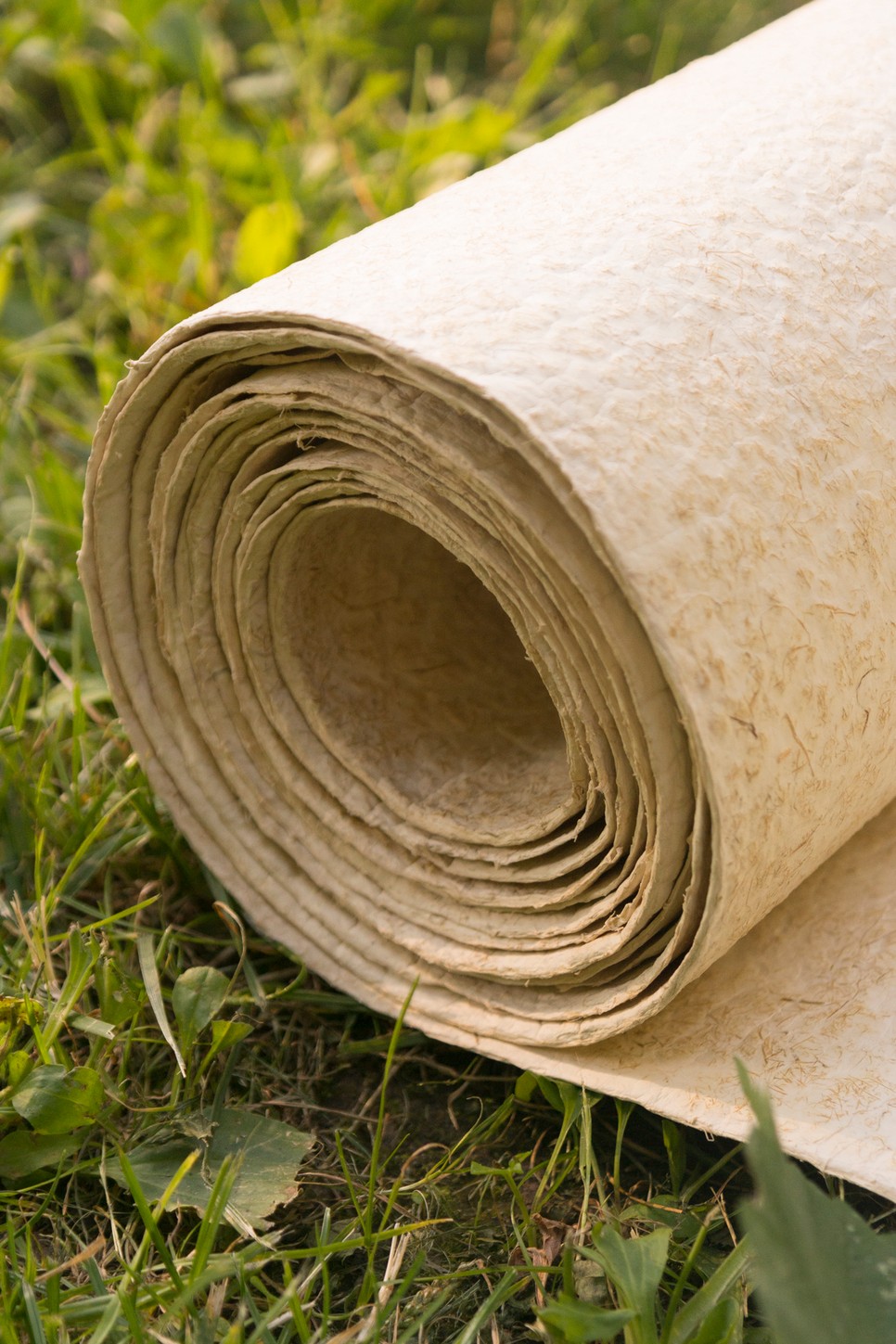 gombabor-fraxinea-glamour