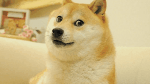 Ez az állat szinte mindent túlél és 200 évig él!