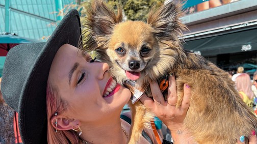 B. Nagy Réka és falkája: az énekesnő elárulta, milyen hatkutyás gazdinak lenni