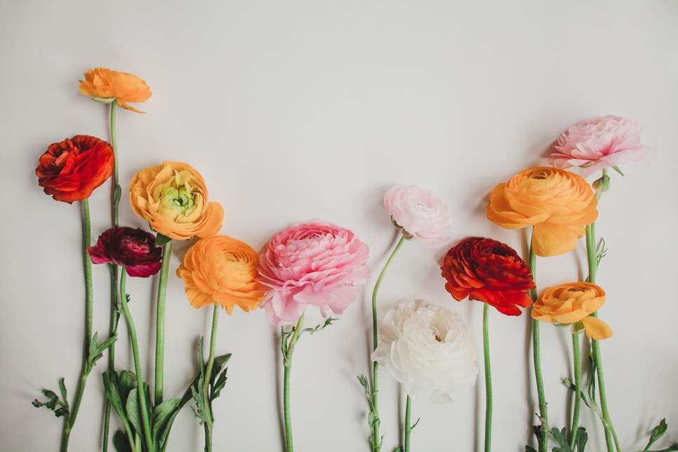 Ezt a virágot válaszd Anyák napjára a horoszkópja alapján