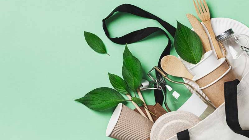 20 hétköznapi tipp a környezettudatos életmódhoz Rezes Judit színésznőtől