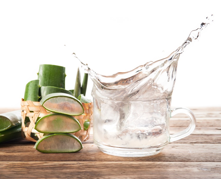 Aloe vera: egykor az örök élet növényének tartották
