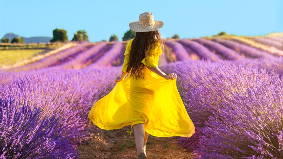 Ezek a nyár meghatározó színei