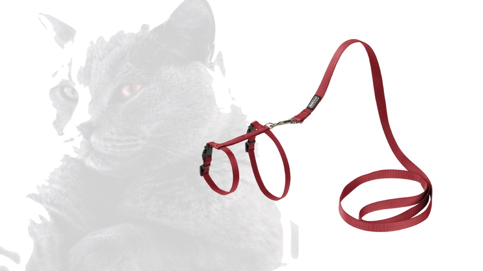 A bajnok választása - ezt veszi Illés Fanni a GLAMOUR-napokon