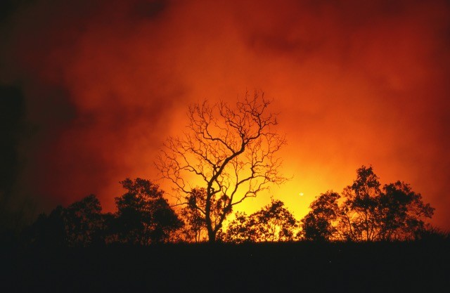 5 ok, amiért még komolyabban kell kezelni az éghajlatváltozást