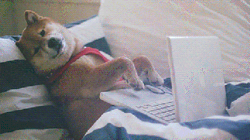 Korunk veszélye: belebetegszünk a túl sok információba!