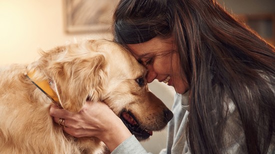 5 előny az életben, amit csak azok élveznek, akiknek van kutyájuk