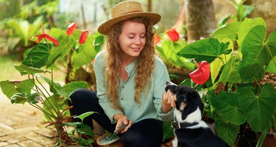 2 növény, amit azonnal távolíts el a kertedből, ha van kutyád: súlyos mérgezést okozhatnak