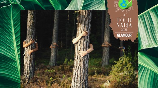 Milyen hatással van a klímaváltozás hazánk erdőire? Dr. Aszalós Réka erdőökológust kérdeztük