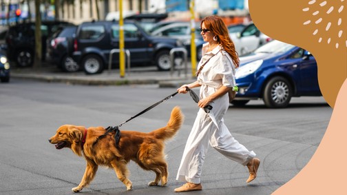 Megérkezett a Kutya hónap és azt üzeni, hallgass a megérzéseidre!