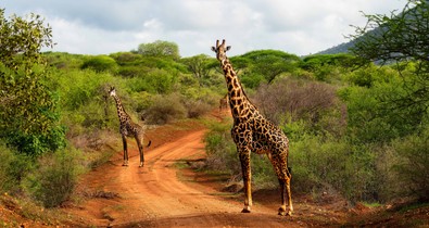 Afrika élménye most közelebb került a magyar utazókhoz