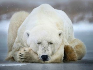 Szeretnél végre JÓL aludni? A kulcs: a melatonin - a dietetikus elmagyarázza, miért!