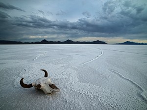Fizikailag és mentálisan is belerokkanhatunk a klímaváltozásba