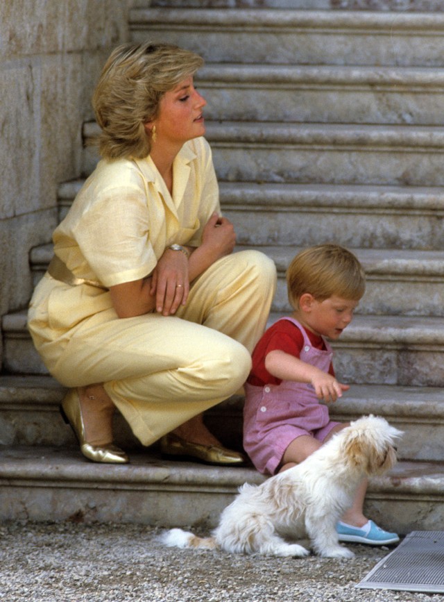 Harry herceg édesanyjával, Diana hercegnével