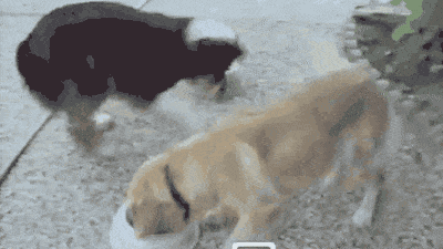 9 GIF, ami tökéletesen kifejezi mit érzünk, ha kajáról van szó