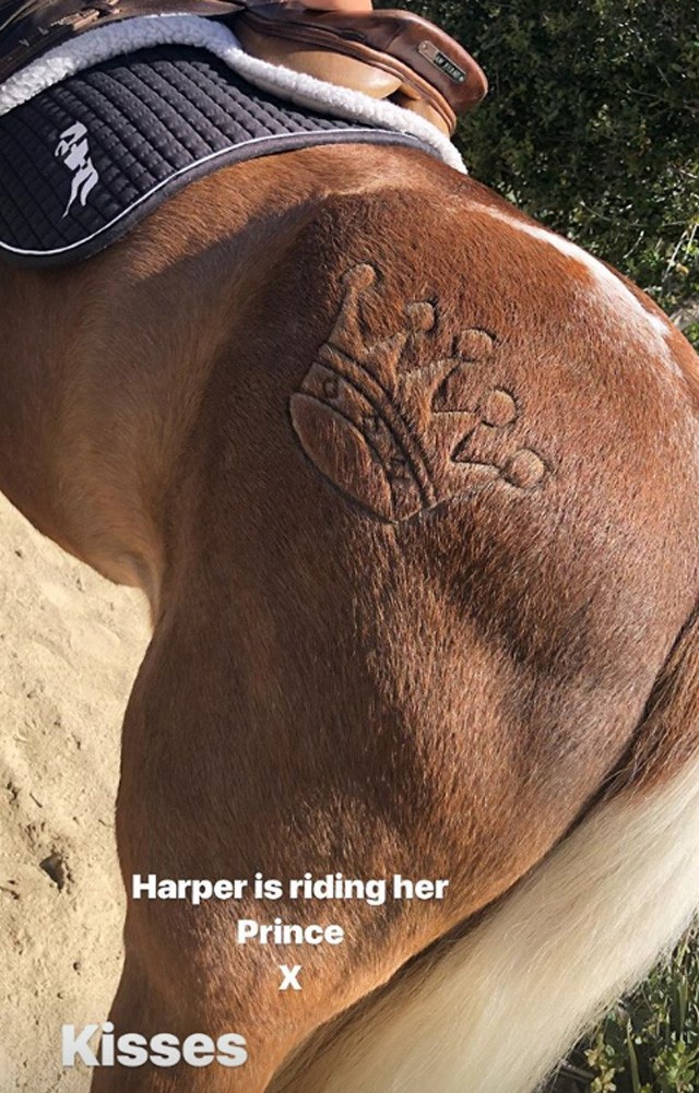 Harper Beckham lova a korona billoggal