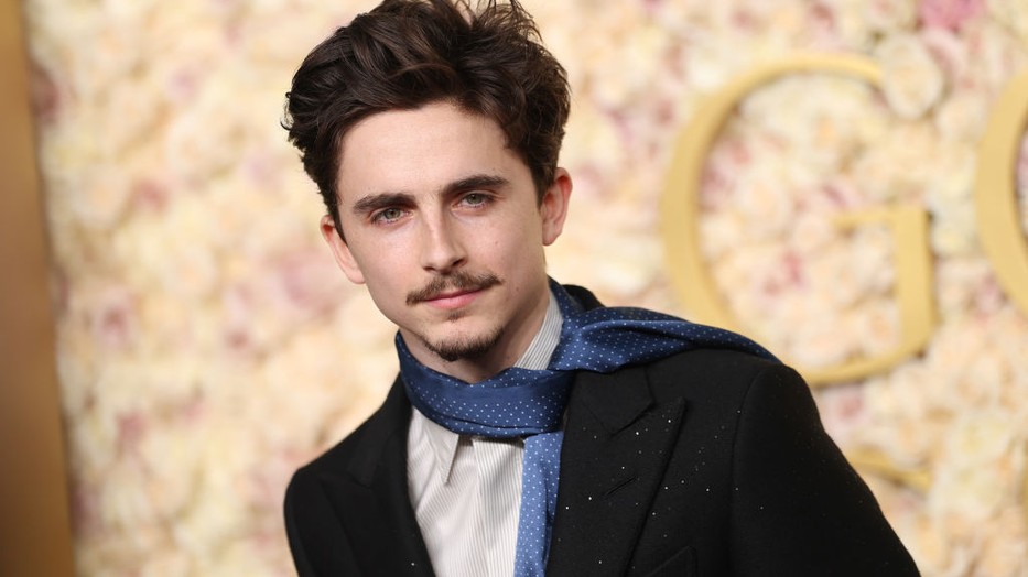 Timothée Chalamet a lehető legváratlanabb módon érkezett meg a vörös szőnyegre
