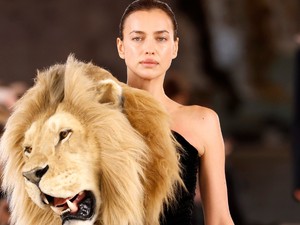 Meditáció, álom vagy egy belső utazás során mindig ugyanaz az állat jelenik meg előtted? Nem véletlen