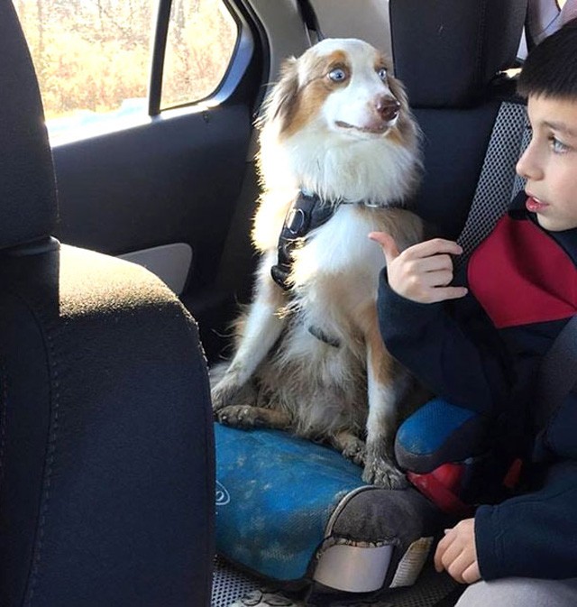 Hogy mit mondtál???