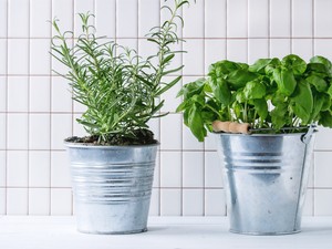 Véd az Alzheimer-kórtól, csökkenti a szorongást és a memóriát is javítja ez a fűszernövény: egyértelműen a konyhádban a helye!