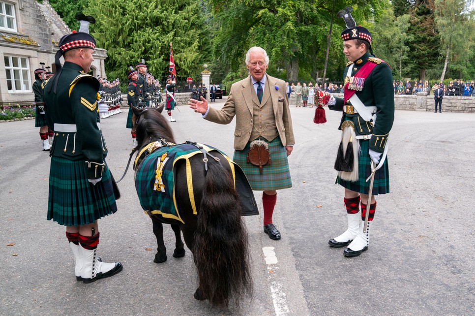 Károly király találkozása IV. Cruachan tizedessel, a shetlandi pónival