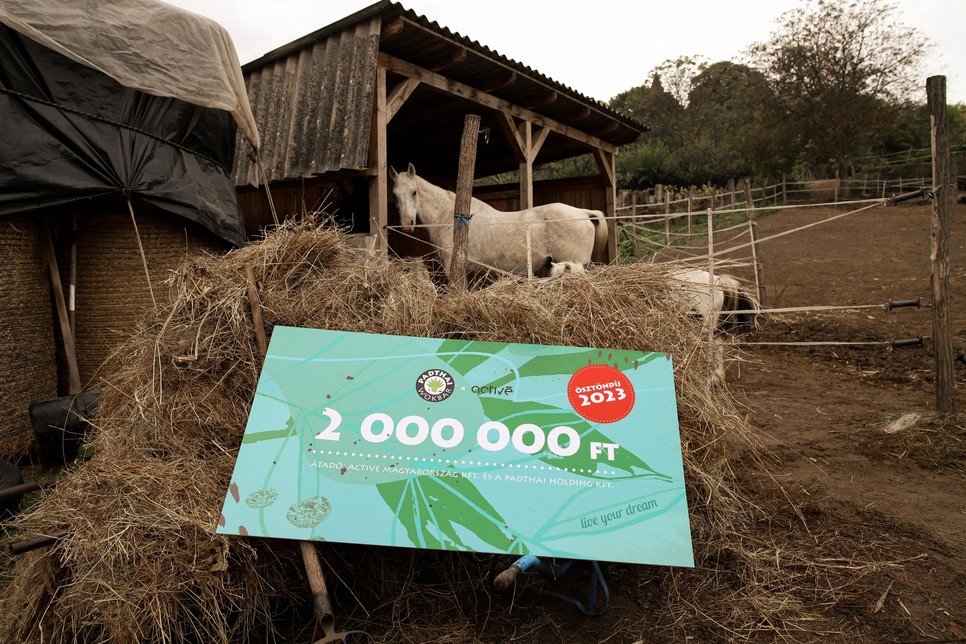 Bernadett egyáltalán nem számított arra, hogy rá esik majd a választás