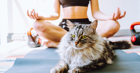 A négy leghatékonyabb légzőgyakorlat a stressz kezelésére