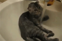 Íme az igazság: ilyen gyakran kell zuhanyoznod