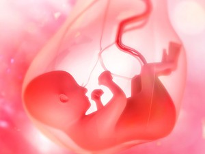 A köldökzsinór a terhesség kilenc hónapja alatt összeköt, de mi a szerepe pontosan?