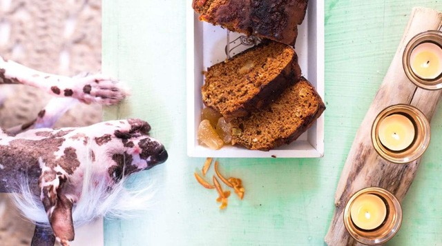 Jön Steiner Kristóf új könyve!