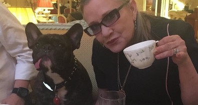 Így reagált Carrie Fisher kutyusa, amikor az új Star Wars-ban meglátta gazdáját! Nagyon megható!