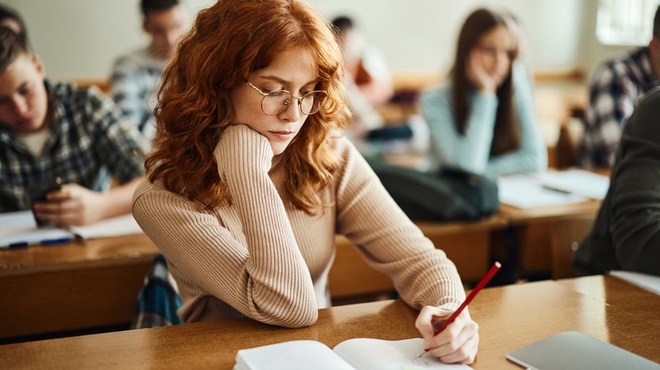 Vajon hogy sikerülne az irodalom teszted, ha idén érettségiznél?