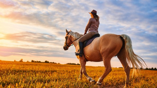 2 évet adtak neki, még 27 évig élt: ezen a napon vágott neki 7000 mérföldes utazásának Mesannie Wilkins
