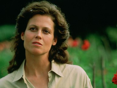 Ez történik, ha egy terapeuta a dzsungelbe megy - Dian Fossey gorillák között talált otthonra