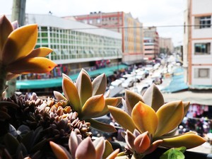 Ahol az álmok nagyok, de a valóság szomorú: Eastleigh - Kenya 2. rész