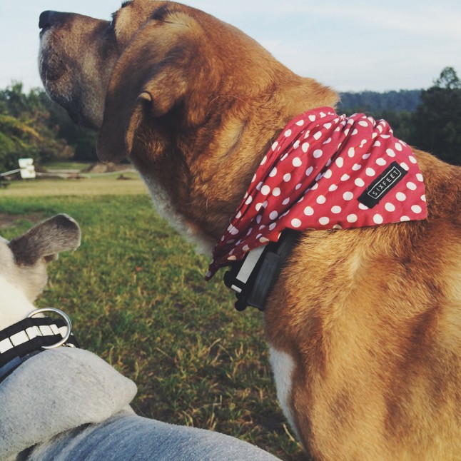 Így kell kezdeni a napot, hogy jól menjen a munka