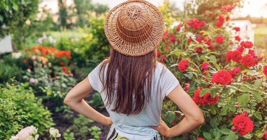Ezt a hibát soha nem követné el a kerttervező, tiéd lesz a környék legszebb udvara, ha hallgatsz rá 