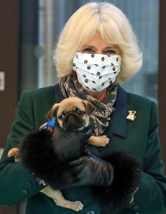 Camilla Parker a világ legédesebb emléktábla-felavatását vitte véghez kutyusával