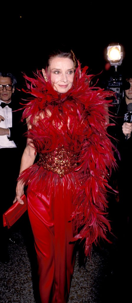 1988-tól az UNICEF jószolgálati nagyköveteként bejárta a világ legszegényebb vidékeit, például Etiópiát, Szudánt és Vietnámot.