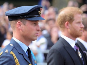 Kulcsfontosságú lépésen múlhat Vilmos herceg és Harry herceg békülése: minden ettől függ a jövőben